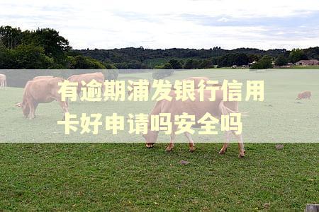 有逾期浦发银行信用卡好申请吗安全吗