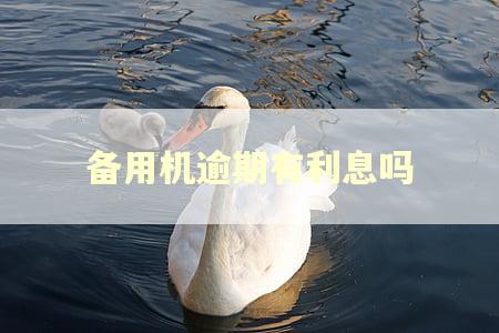 备用机逾期有利息吗 备用机逾期有利息吗