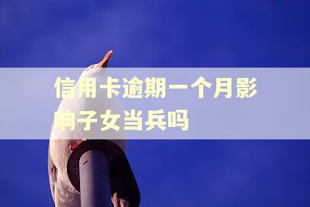 信用卡逾期一个月影响子女当兵吗