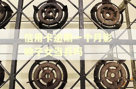 信用卡逾期一个月影响子女当兵吗