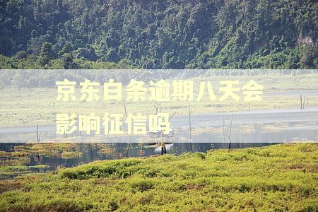 京东白条逾期八天会影响征信吗 京东白条逾期八天会影响征信吗
