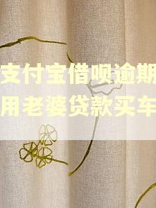 我支付宝借呗逾期可以用老婆贷款买车吗?