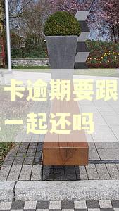 信用卡逾期要跟最新账单一起还吗