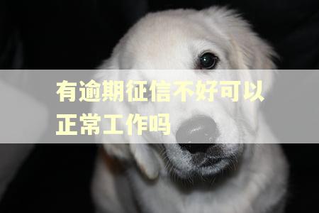 有逾期征信不好可以正常工作吗