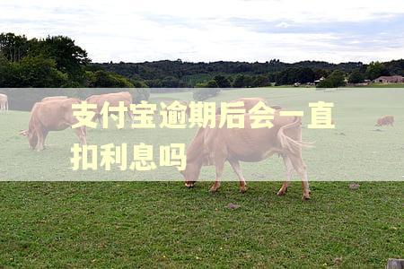 支付宝逾期后会一直扣利息吗