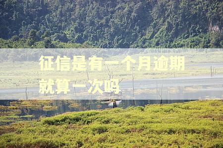 征信是有一个月逾期就算一次吗