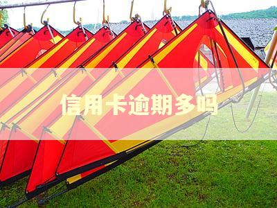 信用卡逾期多吗