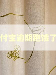 支付宝逾期跑饿了吗