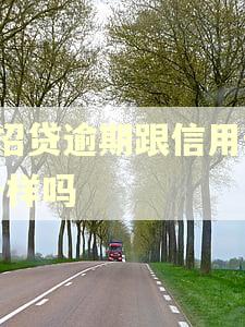 e招贷逾期跟信用卡一样吗 e招贷逾期跟信用卡一样吗