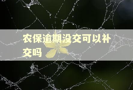 农保逾期没交可以补交吗