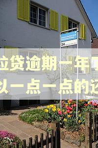微粒贷逾期一年了,可以一点一点的还吗