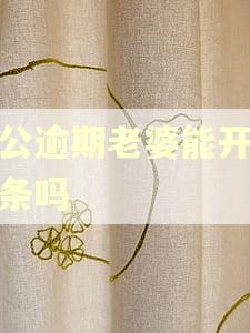 老公逾期老婆能开通白条吗