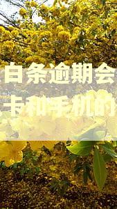 京东白条逾期会影响手机卡和手机的实用吗