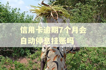 信用卡逾期7个月会自动停息挂账吗