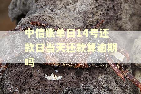 中信账单日14号还款日当天还款算逾期吗
