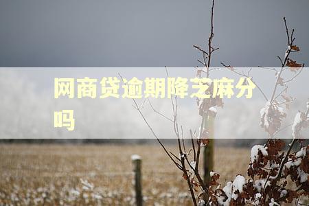 网商贷逾期降芝麻分吗
