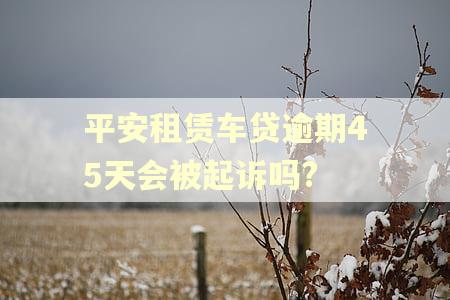 平安租赁车贷逾期45天会被起诉吗?
