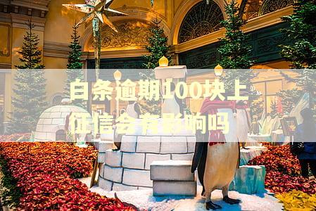 白条逾期100块上征信会有影响吗