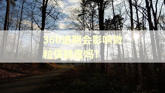360逾期会影响微粒贷额度吗?