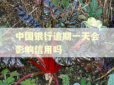 中国银行逾期一天会影响信用吗 中国银行逾期一天会影响信用吗