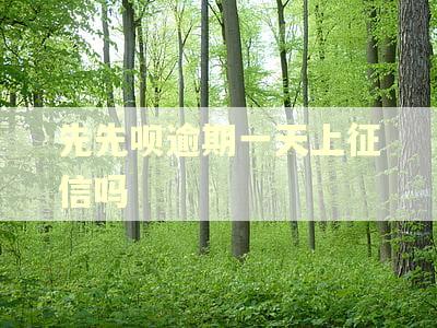 先先呗逾期一天上征信吗