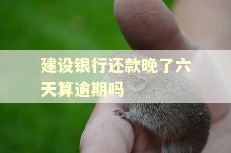 建设银行还款晚了六天算逾期吗