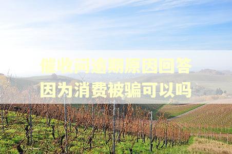 催收问逾期原因回答因为消费被骗可以吗 催收问逾期原因回答因为消费被骗可以吗