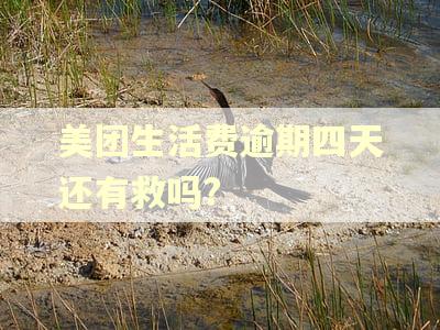 美团生活费逾期四天还有救吗?
