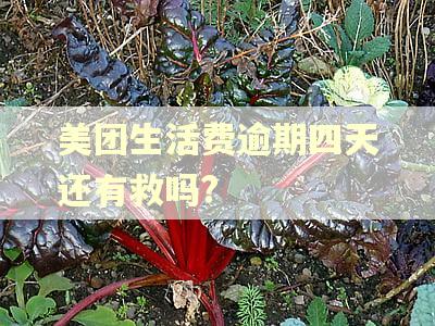 美团生活费逾期四天还有救吗?