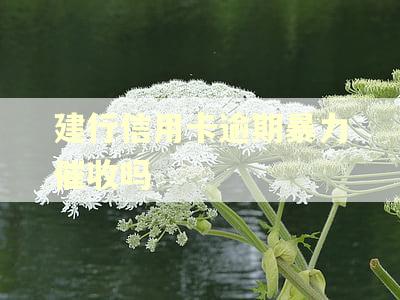 建行信用卡逾期暴力催收吗