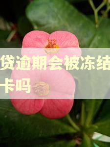 网贷逾期会被冻结银行卡吗