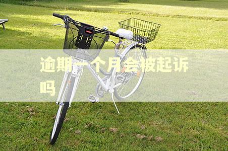 逾期一个月会被起诉吗