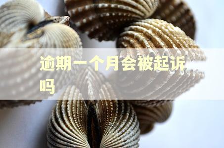 逾期一个月会被起诉吗