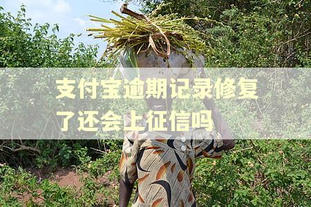支付宝逾期记录修复了还会上征信吗