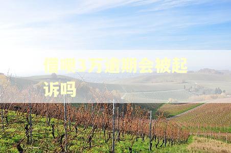 借呗3万逾期会被起诉吗