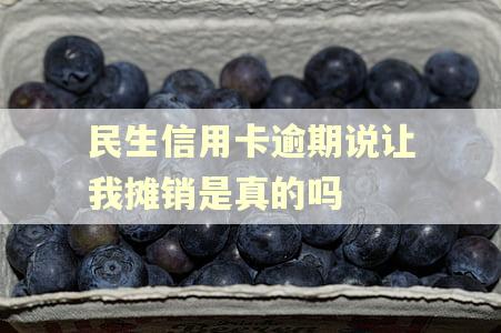 民生信用卡逾期说让我摊销是真的吗