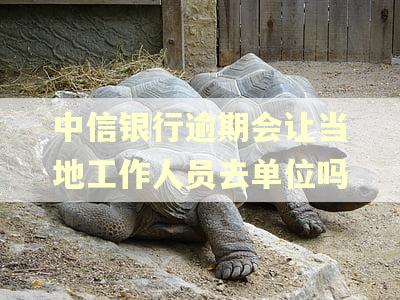 中信银行逾期会让当地工作人员去单位吗