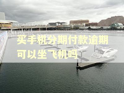 买手机分期付款逾期可以坐飞机吗