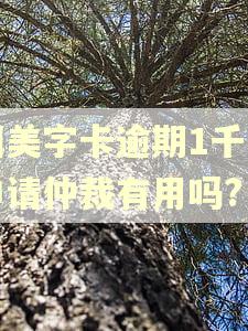 国美字卡逾期1千多申请仲裁有用吗?
