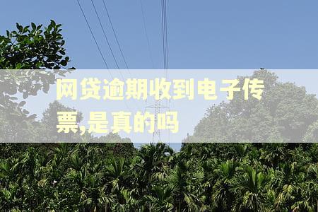 网贷逾期收到电子传票,是真的吗