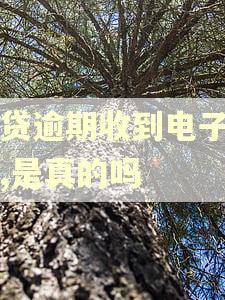 网贷逾期收到电子传票,是真的吗 网贷逾期收到电子传票,是真的吗