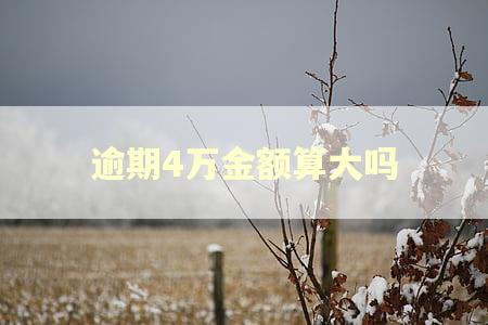 逾期4万金额算大吗
