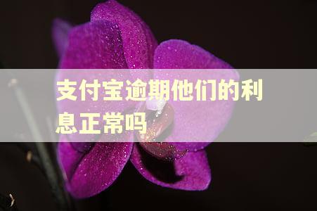 支付宝逾期他们的利息正常吗