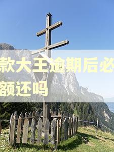 借款大王逾期后必须全额还吗