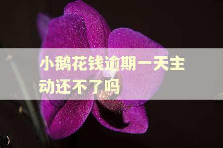 小鹅花钱逾期一天主动还不了吗
