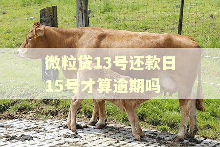 微粒贷13号还款日15号才算逾期吗