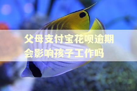 父母支付宝花呗逾期会影响孩子工作吗
