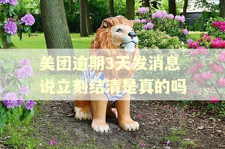 美团逾期3天发消息说立刻结清是真的吗