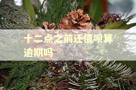 十二点之前还借呗算逾期吗