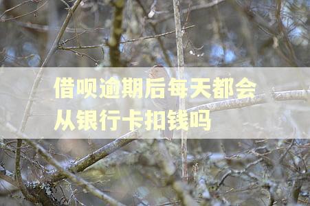 借呗逾期后每天都会从银行卡扣钱吗